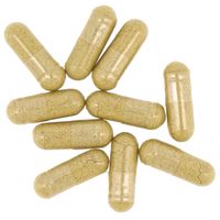 Terranova Digestive Enzyme Complex